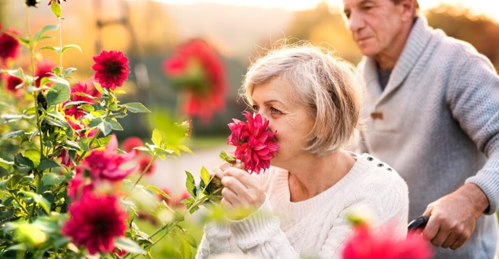 In-Home Care Services | Castro Valley, Oakland, Berkeley, San Leandro, CA - AdobeStock_179812537_(1)