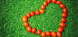 A photo of small cherry tomatoes in the shape of a heart in the grass.