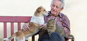 An older gentleman sitting on a bench with a cat and dog.